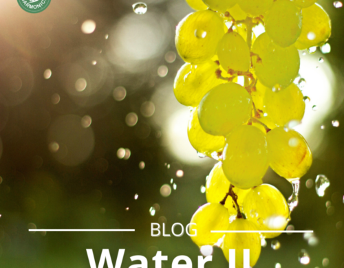 Water II
